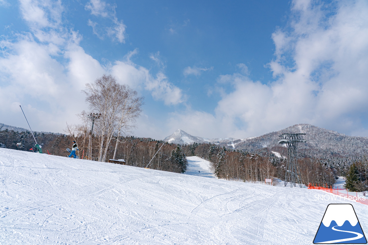 富良野スキー場｜やっぱり富良野は広かった！コース数は全部で「28本」。富良野ZONE上部だけでも滑り応えたっぷり♪